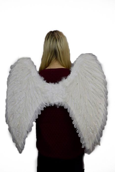 Angel Wings - Costume Cave